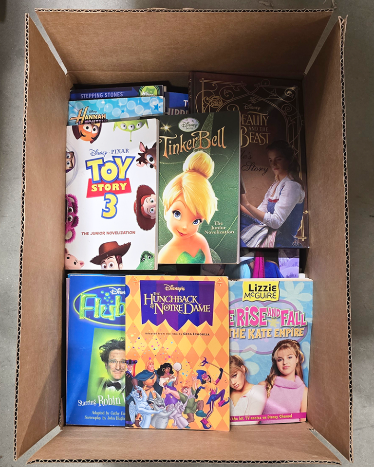 Boxed Children’s Elementary Chapter Books